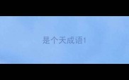 是个天成语