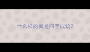 什么样的翼龙四字成语