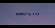 灿烂的灿的成语