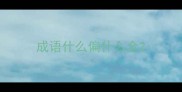 成语什么偏什么全