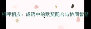 相呼相应成语中的默契配合与协同智慧