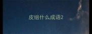 皮组什么成语