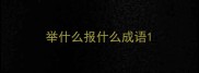 举什么报什么成语