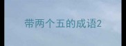 带两个五的成语