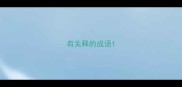 有关释的成语