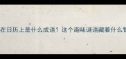蜜蜂停在日历上是什么成语这个趣味谜语藏着什么智慧