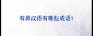 有鼻成语有哪些成语