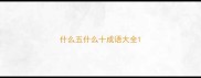 什么五什么十成语大全