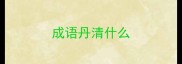 成语丹清什么