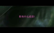 影有什么成语