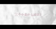三个中是什么成语