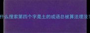 为什么搜索第四个字是土的成语总被算法埋没
