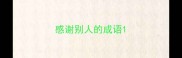 感谢别人的成语