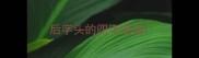 后字头的四字成语