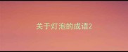 关于灯泡的成语