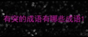 有突的成语有哪些成语