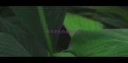 形字开头的成语接龙