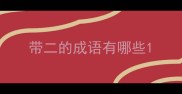 带二的成语有哪些