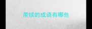 带续的成语有哪些