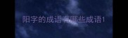 阳字的成语有哪些成语