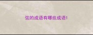 弦的成语有哪些成语