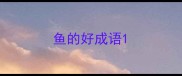 鱼的好成语