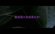 星成语大全成语大全