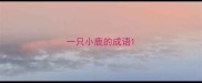 一只小鹿的成语