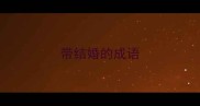 带结婚的成语