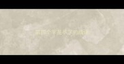 第四个字是尽字的成语
