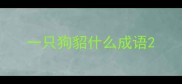 一只狗貂什么成语