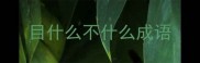 目什么不什么成语