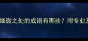 篆刻艺术中形容细微之处的成语有哪些附专业及实例应用指南