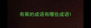 有筹的成语有哪些成语