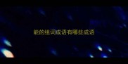 能的组词成语有哪些成语