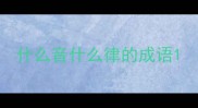 什么音什么律的成语