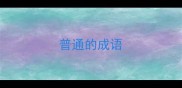 普通的成语