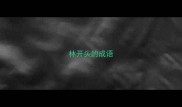 林开头的成语