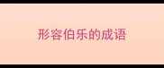 形容伯乐的成语
