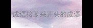 成语接龙采开头的成语