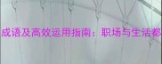10个关于余力的成语及高效运用指南职场与生活都适用的智慧锦囊