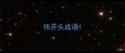 伟开头成语
