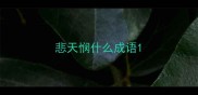 悲天悯什么成语