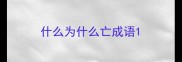 什么为什么亡成语