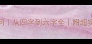 并字成语100问从四字到六字全附超实用学习技巧