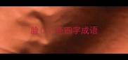 脸色四字成语