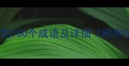 包含墙字的100个成语及详细附用法指南