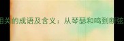 必知的10个与弦相关的成语及含义从琴瑟和鸣到断弦之琴的深层解读