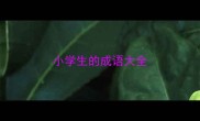 小学生的成语大全