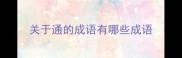 关于通的成语有哪些成语
